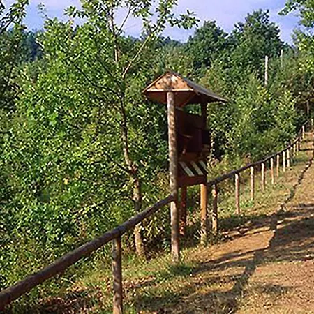 Biamici - Casa De Vacanze In Casa vacanze *